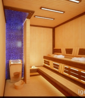 Интерьер бани в Современном стиле автор Вячеслав Воронько (Москва) В интерьере использован потолочный светильник